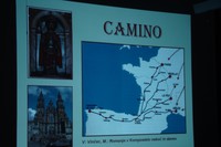Branje je žur: Camino