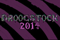 Droogstock 2014